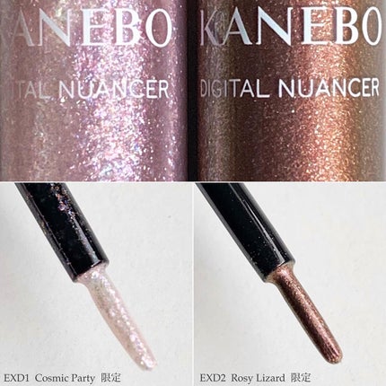 デジタルニュアンサー EXD2 Rosy Lizard/KANEBO/ジェル・クリームアイシャドウを使ったクチコミ(2枚目)