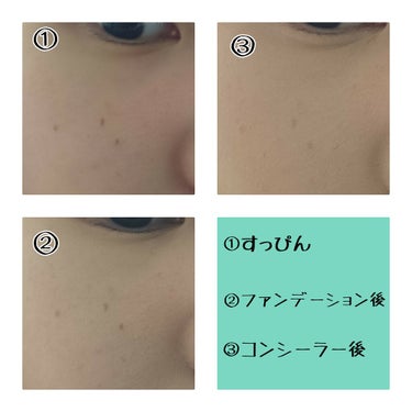 カバーパーフェクション チップコンシーラー/the SAEM/リキッドコンシーラーを使ったクチコミ（2枚目）