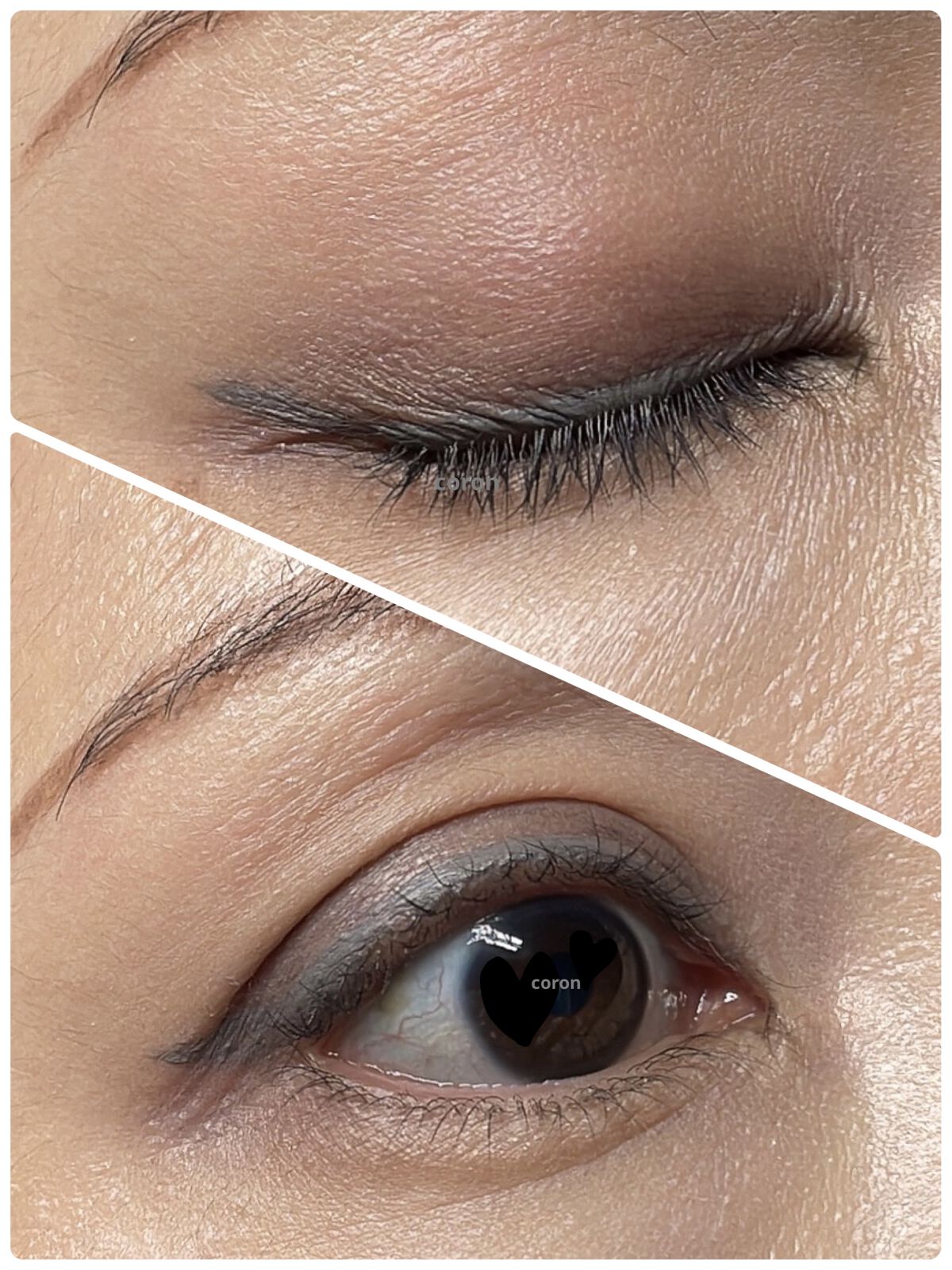 ソー フィアス！ プリズマティック パレット/REVLON/アイシャドウパレットを使ったクチコミ（2枚目）