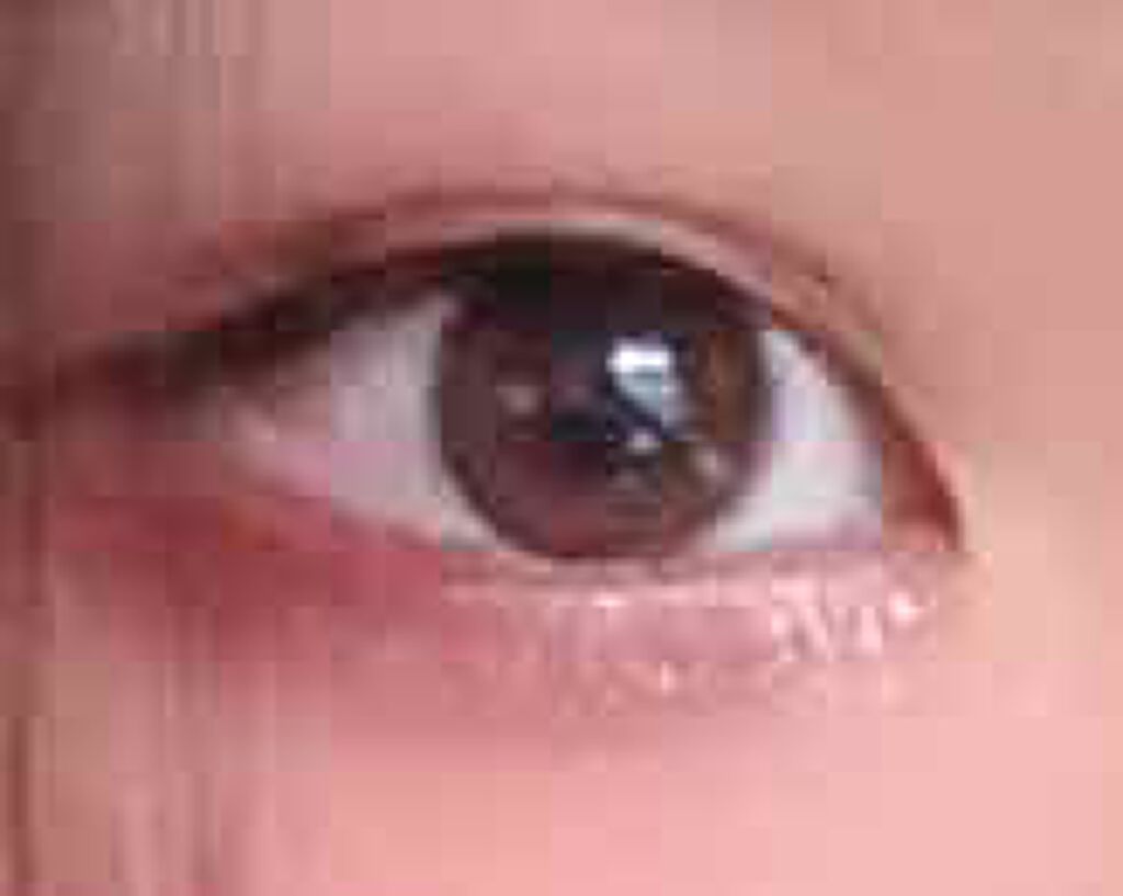 【旧品】パーフェクトスタイリストアイズ/キャンメイク/アイシャドウパレットを使ったクチコミ（1枚目）