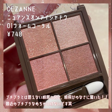 ニュアンスオンアイシャドウ/CEZANNE/アイシャドウパレットを使ったクチコミ(4枚目)