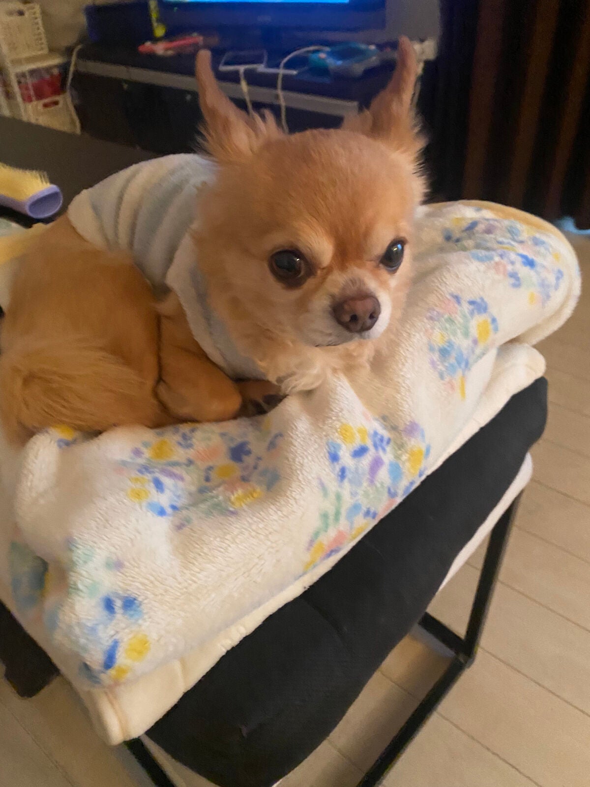 アンドバイロムアンド メロウアイパレット/&nd by rom&nd/アイシャドウパレットを使ったクチコミ(9枚目)