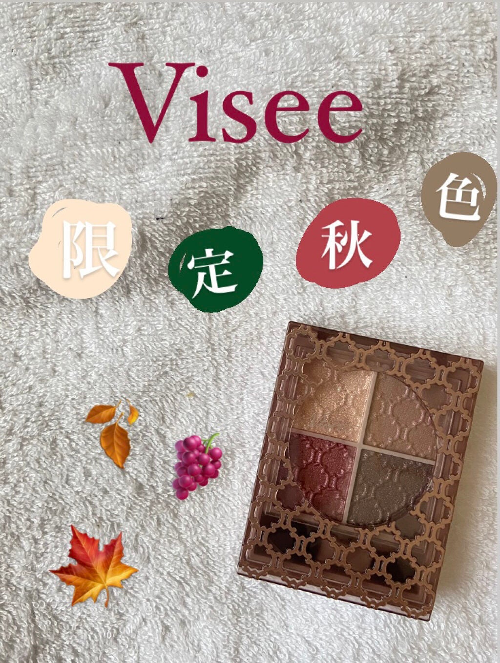 グロッシーリッチ アイズ N/Visée/アイシャドウパレットを使ったクチコミ(1枚目)