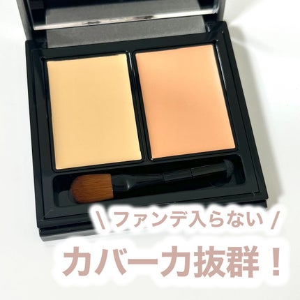 &be ファンシーラー/&be/パレットコンシーラーを使ったクチコミ(1枚目)