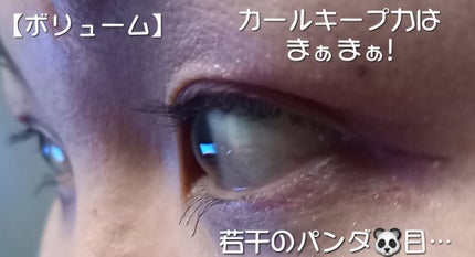 ミセラーアイメイクアップリムーバー/ビフェスタ/ポイントメイクリムーバーを使ったクチコミ(6枚目)