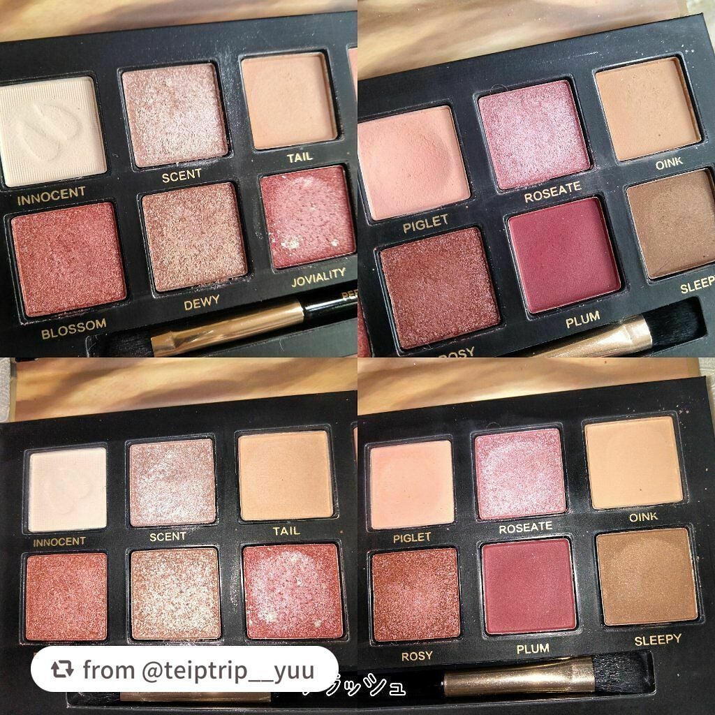 エクスプローラ12色 動物アイシャドウパレット/PERFECT DIARY/アイシャドウパレットを使ったクチコミ(3枚目)