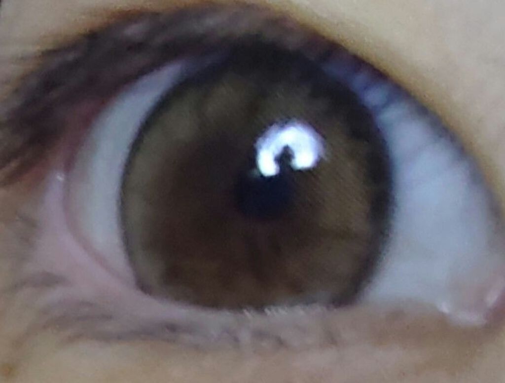 MOLAK 1month/MOLAK/１ヶ月（１MONTH）カラコンを使ったクチコミ（3枚目）