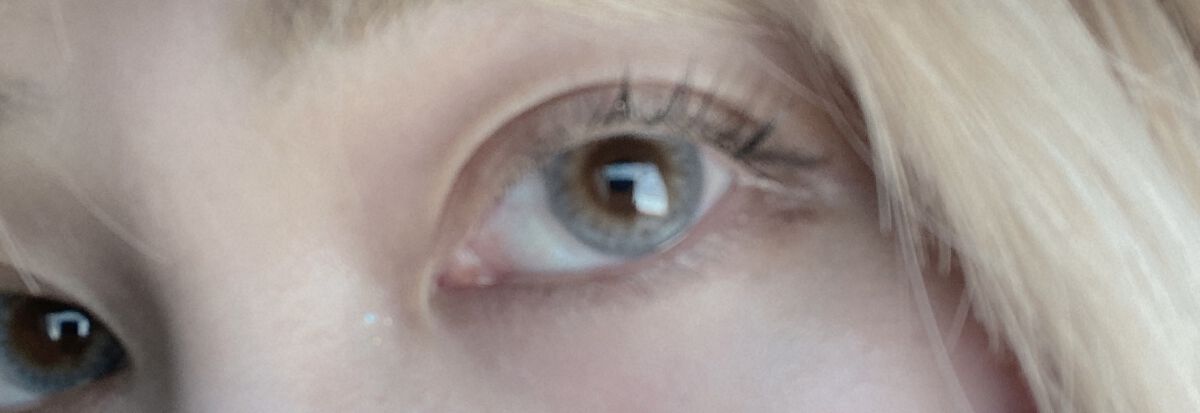 PUUUUCHU 1day /PUUUUCHU/ワンデー（１DAY）カラコンを使ったクチコミ（1枚目）