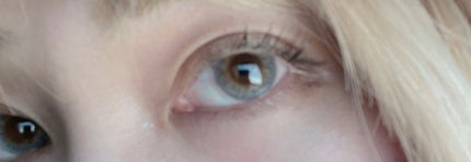 PUUUUCHU 1day /PUUUUCHU/ワンデー(1DAY)カラコンを使ったクチコミ(1枚目)