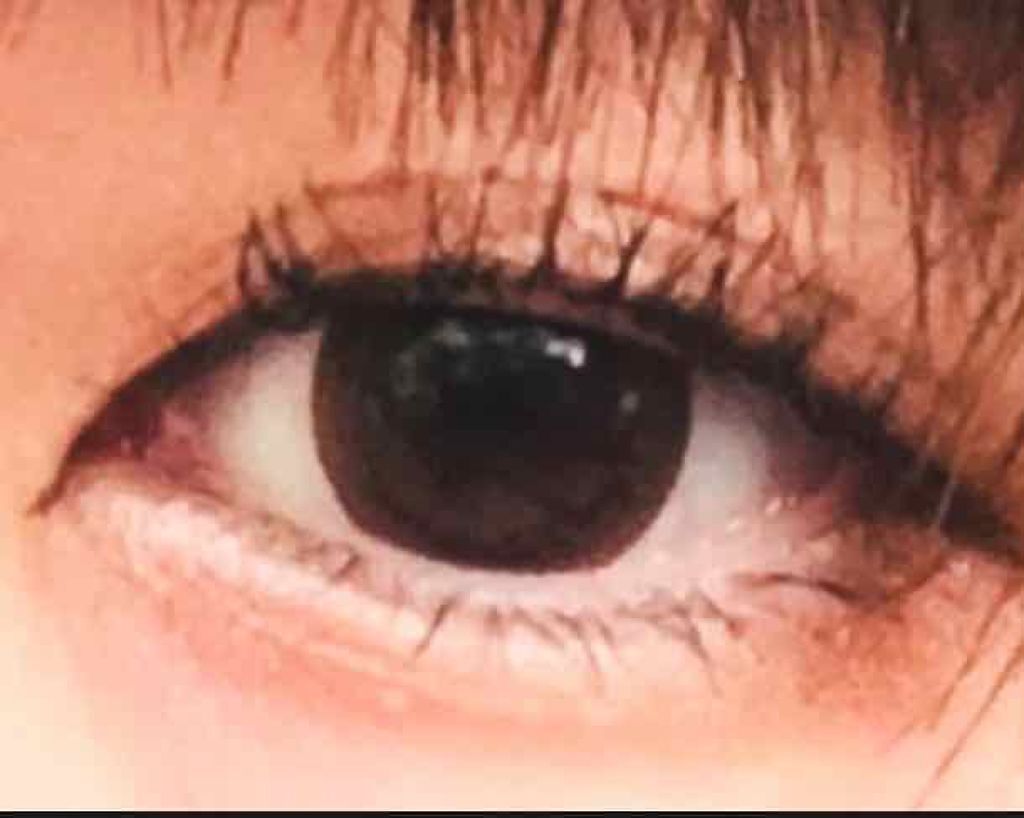 ショコラスウィート アイズ/リンメル ロンドン/アイシャドウパレットを使ったクチコミ（1枚目）