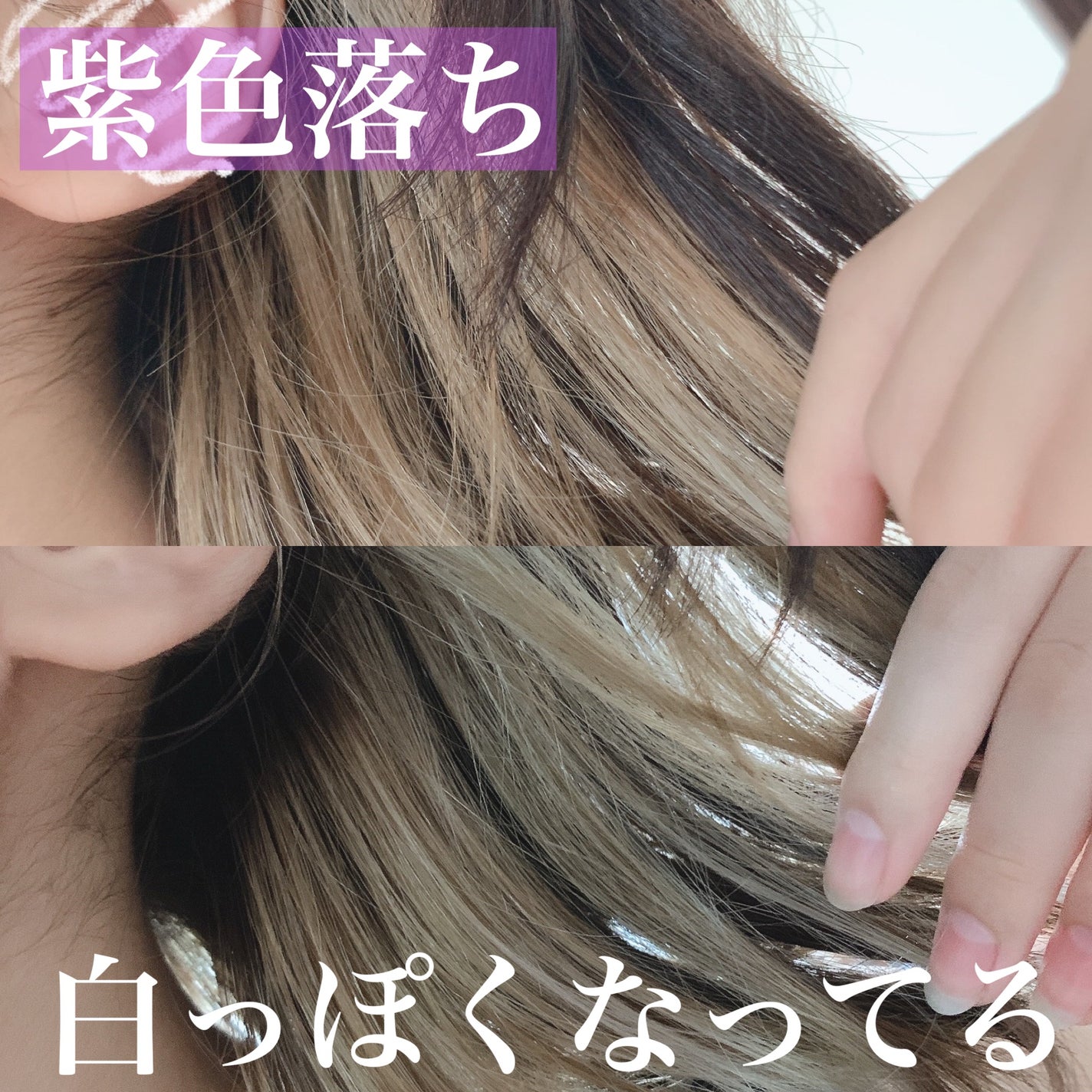 シャンプー/トリートメント ヒートケア パープル/CALATAS/市販シャンプーを使ったクチコミ(2枚目)