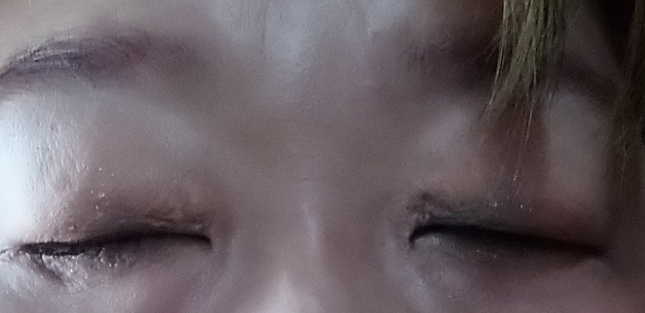 レトロマグネティック アイシャドウパレット/FlowerKnows/アイシャドウパレットを使ったクチコミ（3枚目）