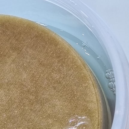 ピュアアルテミシアカーミングパッド/HANYUL(ハンユル)/トナーパッドを使ったクチコミ(4枚目)