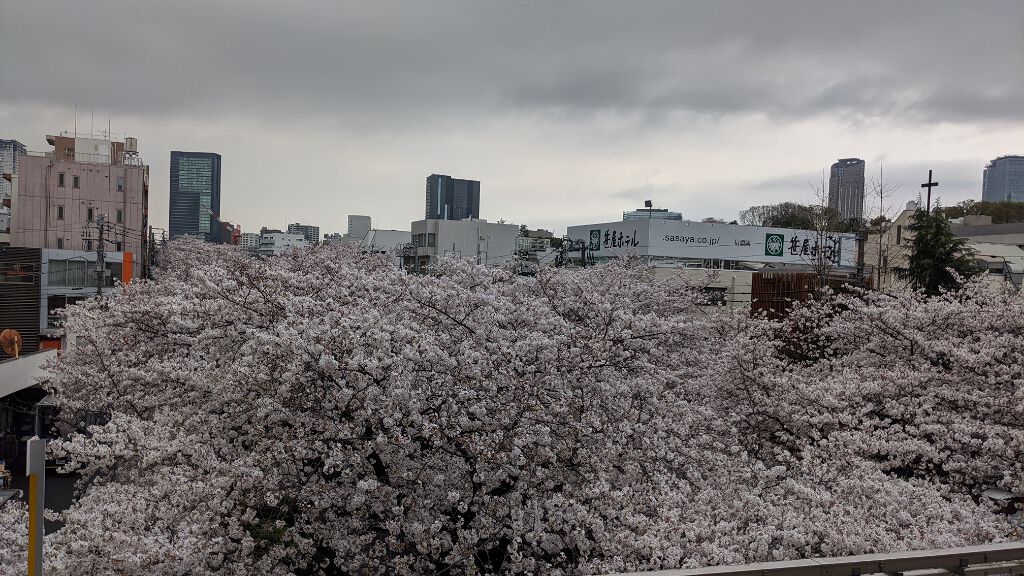 pink_make_o5p on LIPS 「ねこ..」(3枚目)