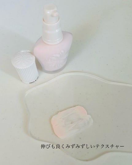 ãããã¯ãã£ã³ã° ãã©ã€ããŒ/PAUL & JOE BEAUTE/åç²§äžå°ã䜿ã£ãã¯ãã³ãïŒ4æç®ïŒ