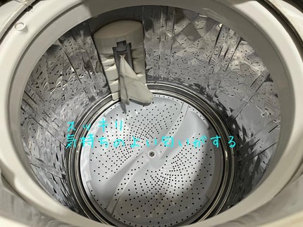 kowawa53 on LIPS 「洗濯槽クリーナーWASHMANIA 塩素のプロが開発したプロ仕..」(7枚目)