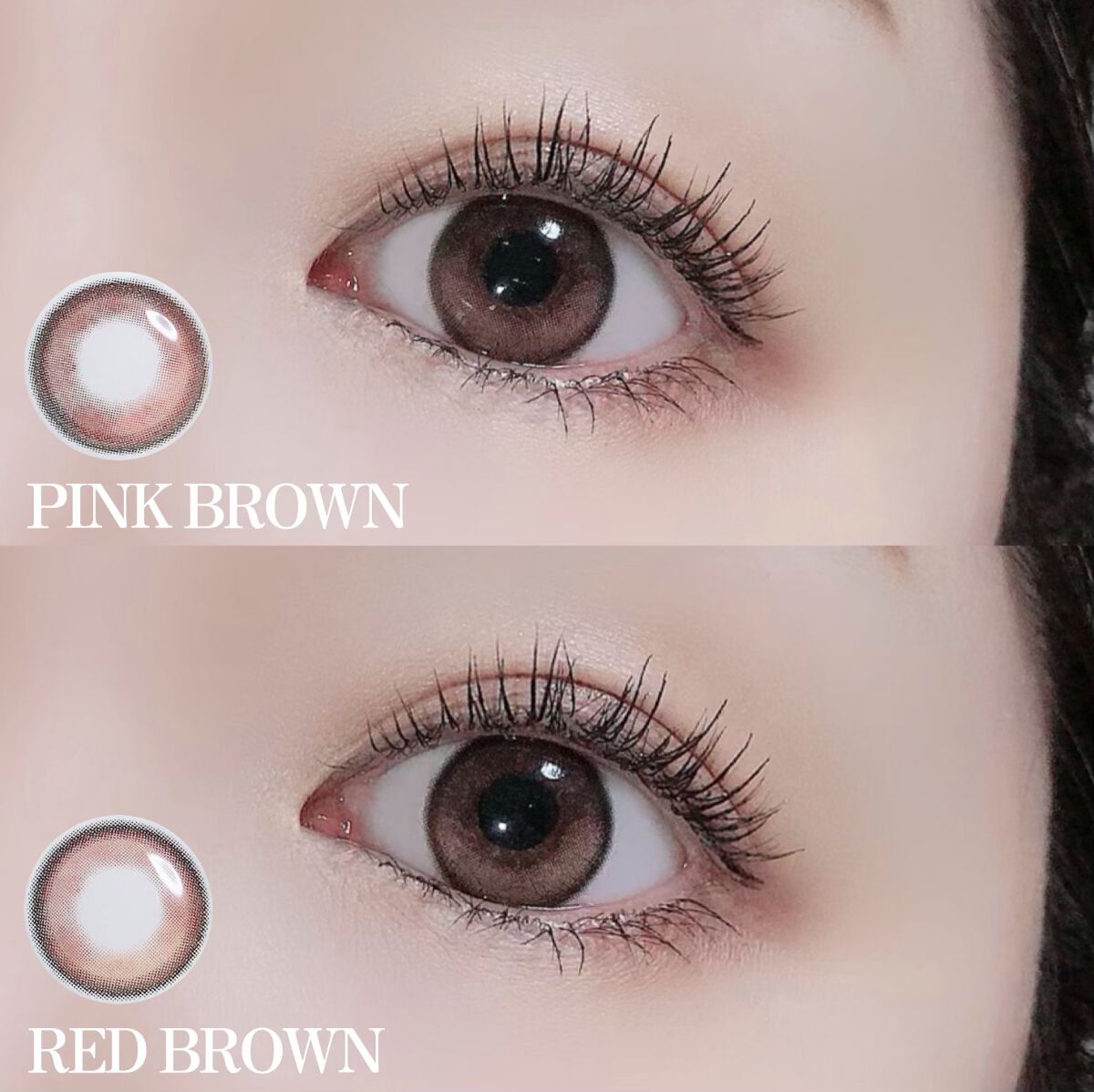 Secretive Kristen 1day/Hapa kristin/ワンデー(1DAY)カラコンを使ったクチコミ(3枚目)