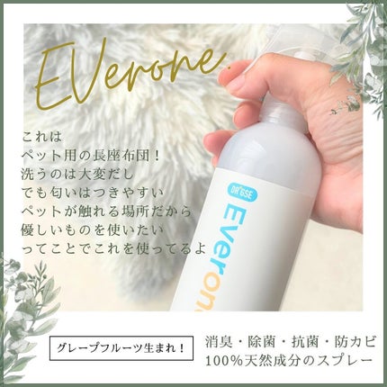 エバーワン マルチ消臭・除菌・抗菌スプレー/DR.GSE/その他を使ったクチコミ(5枚目)