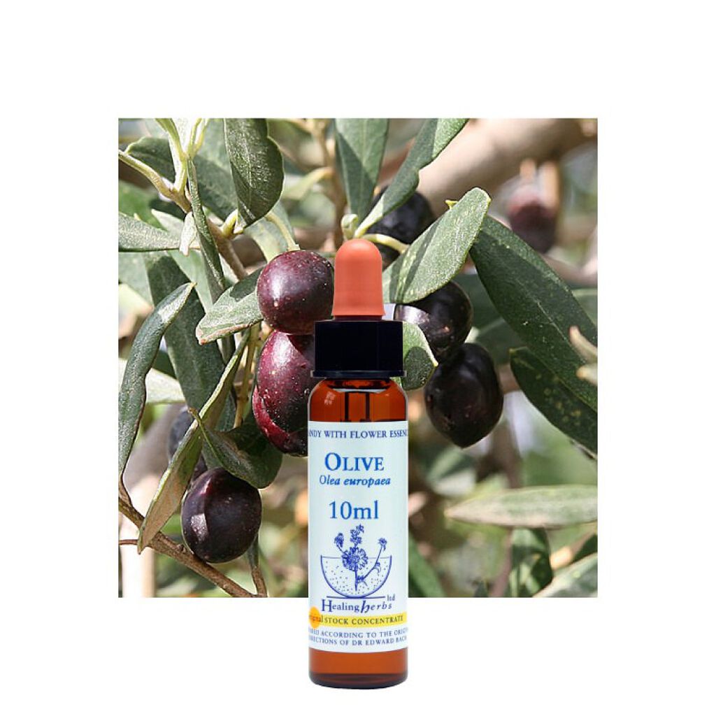 ヒーリングハーブフラワーエッセンス オリーブ