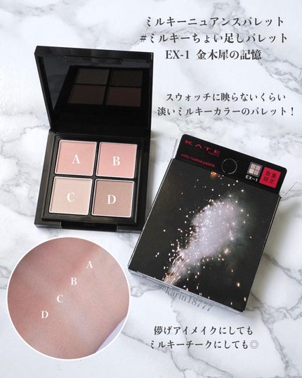 キャンバスペイントパレット/KATE/マルチパレットを使ったクチコミ(5枚目)