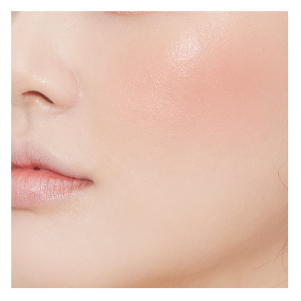 アピュー ジューシーパン ジェリーチーク ジューシーパン　ジェリーチーク (JBR01)