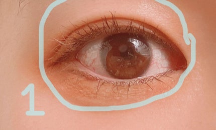 プロ アイ パレット/CLIO/アイシャドウパレットを使ったクチコミ(6枚目)