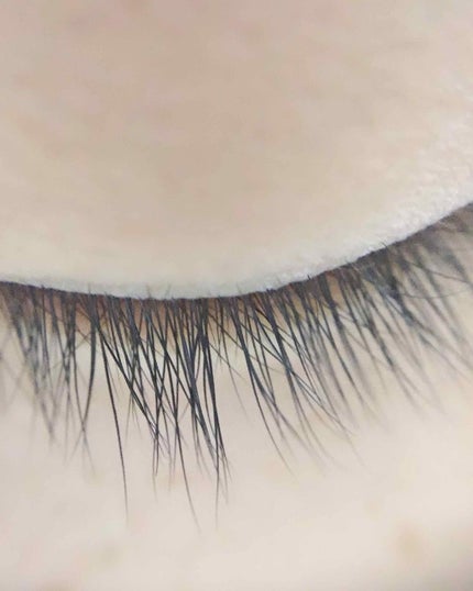 接写&魚眼レンズ/DAISO/その他を使ったクチコミ(4枚目)