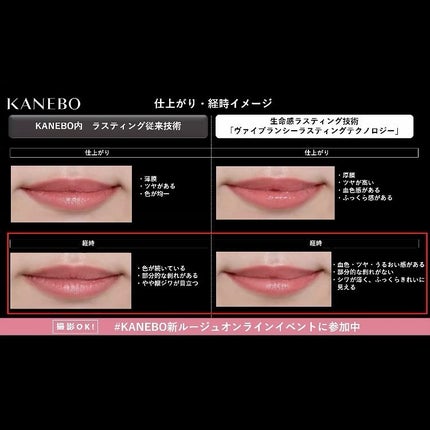 ルージュスターヴァイブラント/KANEBO/口紅を使ったクチコミ(3枚目)