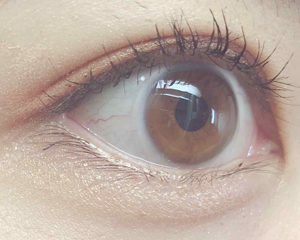 シャドーカスタマイズ OR481 マリー/MAJOLICA MAJORCA/単色アイシャドウを使ったクチコミ（1枚目）