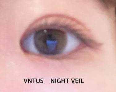 VNTUS 1day ナイトヴェール/VNTUS/ワンデー（１DAY）カラコンを使ったクチコミ（2枚目）