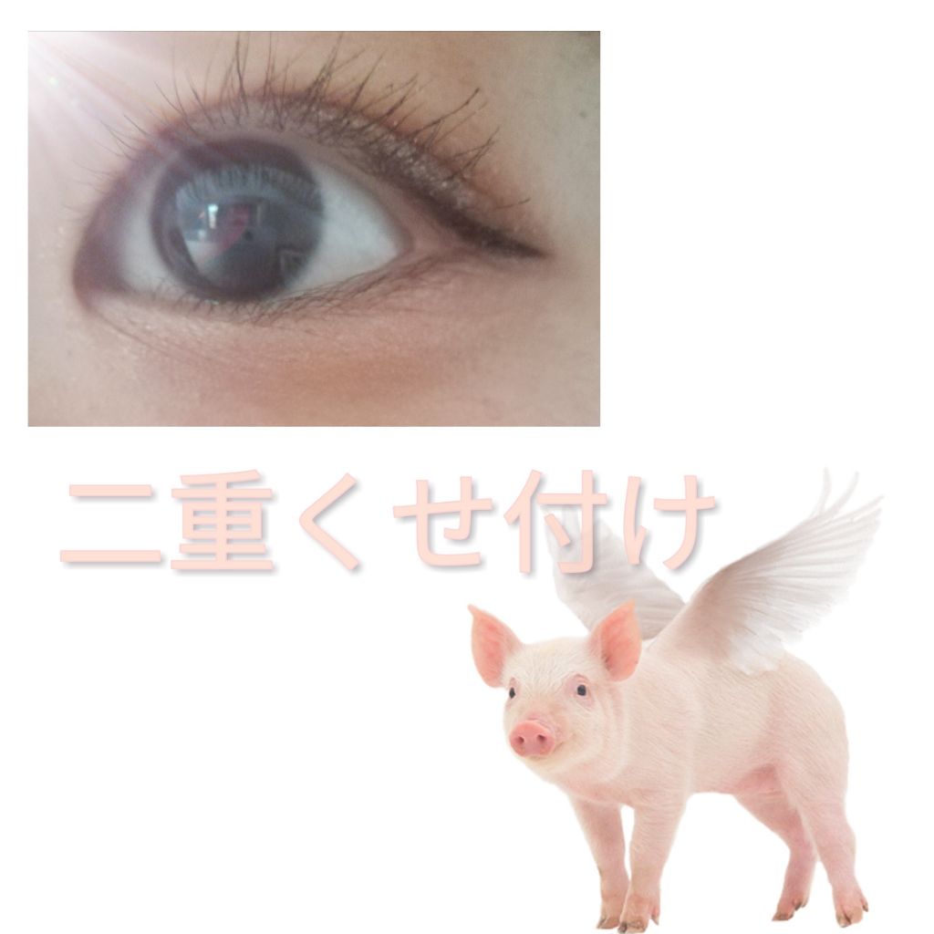 芽 生 on LIPS 「3回目の投稿は二重のくせ付けのやり方です!私はもともと一重でし..」(1枚目)