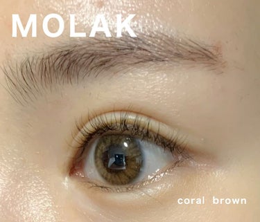 MOLAK 1day コーラルブラウン/MOLAK/ワンデー（１DAY）カラコンを使ったクチコミ（1枚目）