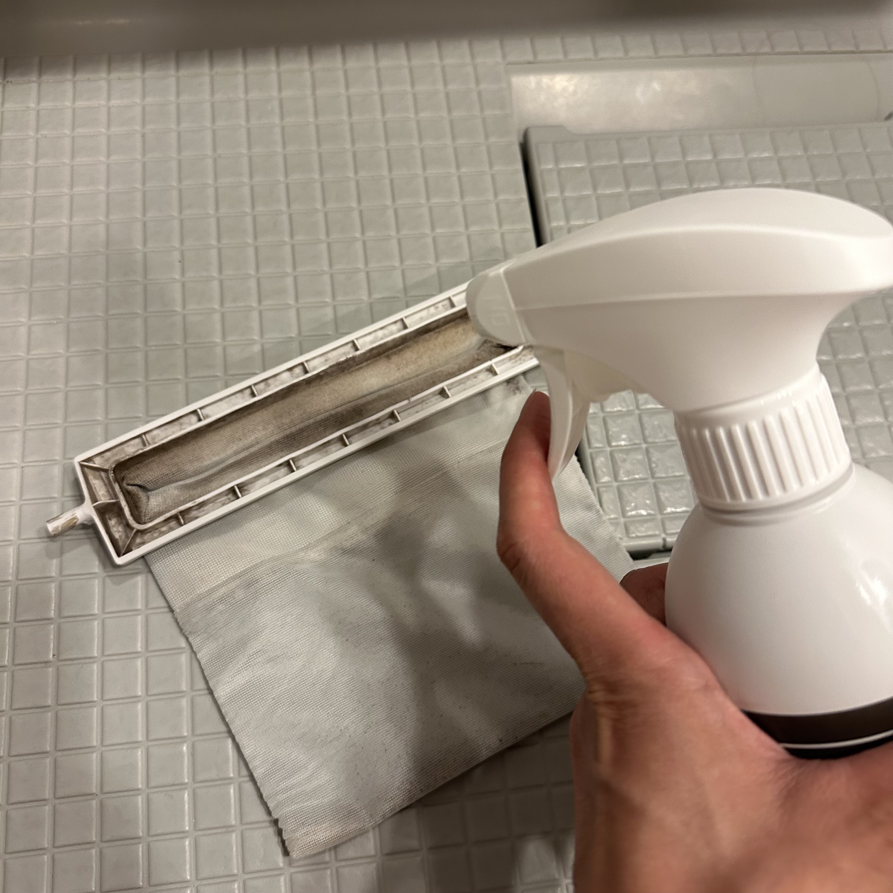 Mol clear Pro/ホコニコ/その他を使ったクチコミ（2枚目）