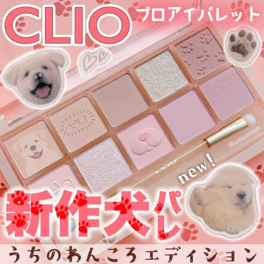 プロ アイ パレット/CLIO/アイシャドウパレットを使ったクチコミ（1枚目）