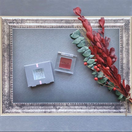 マルチカラーバリエーション ヴィヴィッド/チャコット・コスメティクス/単色アイシャドウを使ったクチコミ(1枚目)