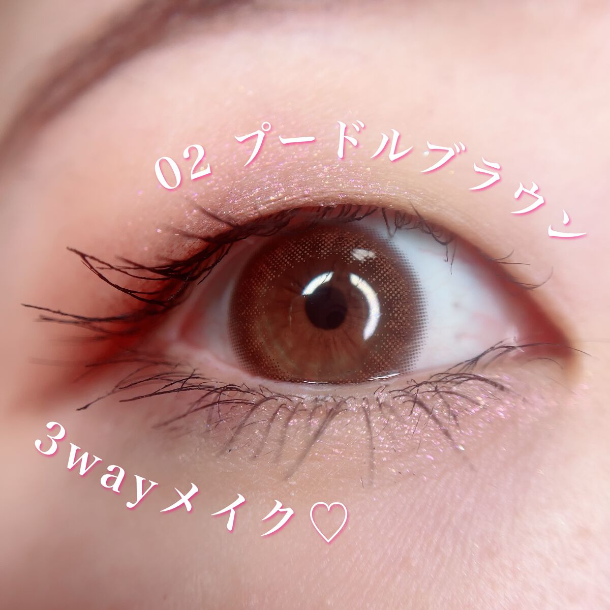 わんだふるアイカラー/KIREI FACTORY/アイシャドウパレットを使ったクチコミ(3枚目)