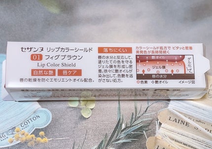 リップカラーシールド/CEZANNE/口紅を使ったクチコミ(3枚目)