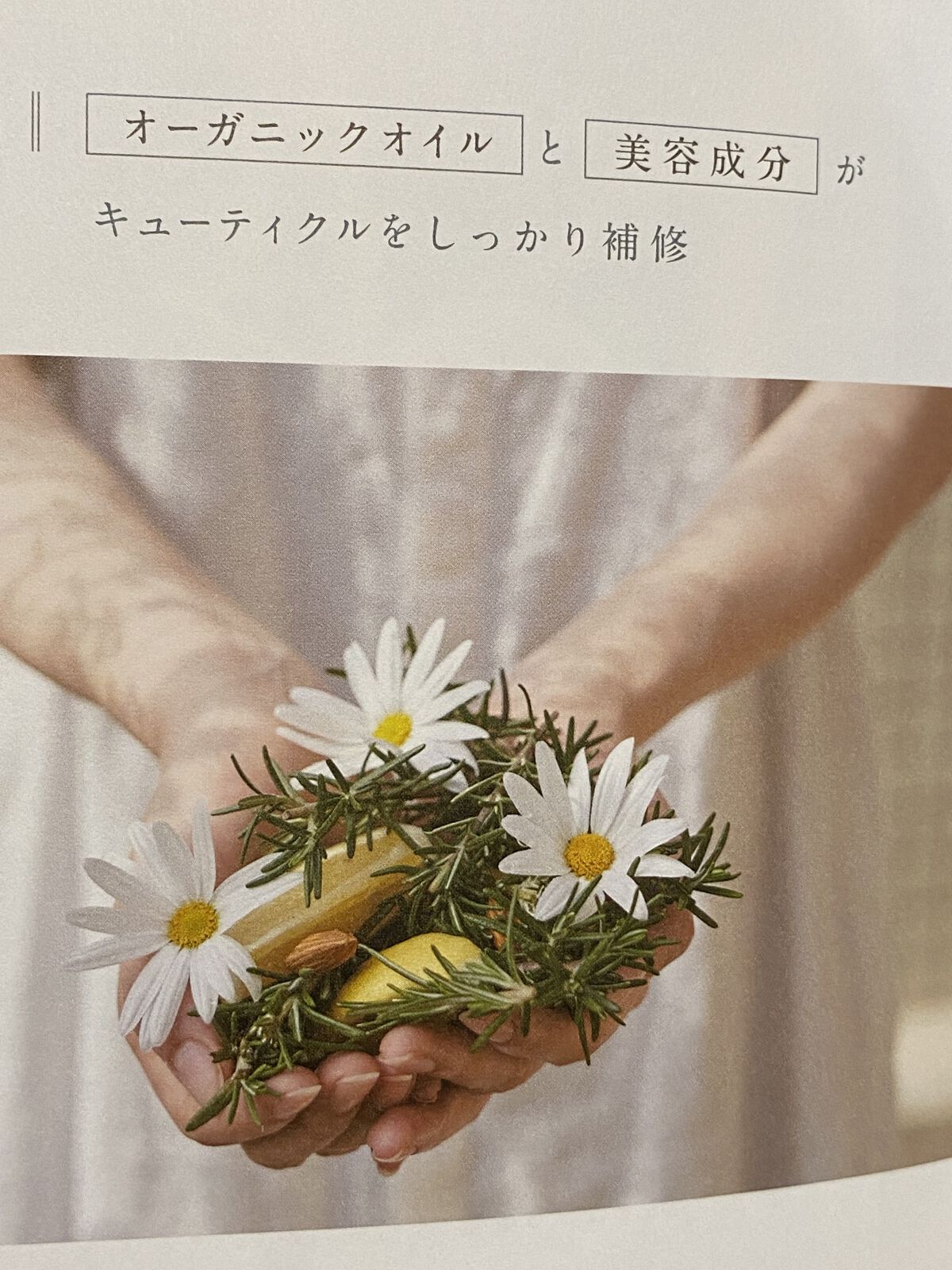 クレイクリームシャンプー（モイスト）/cocone/市販シャンプーを使ったクチコミ（2枚目）