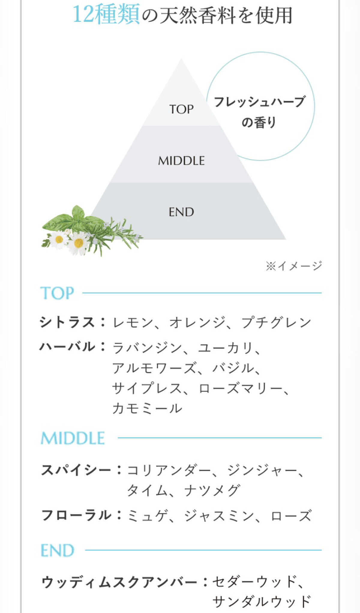 ソフティモ クリアプロ クレンジングバーム CICA ブラック/ソフティモ/クレンジングバームを使ったクチコミ（3枚目）
