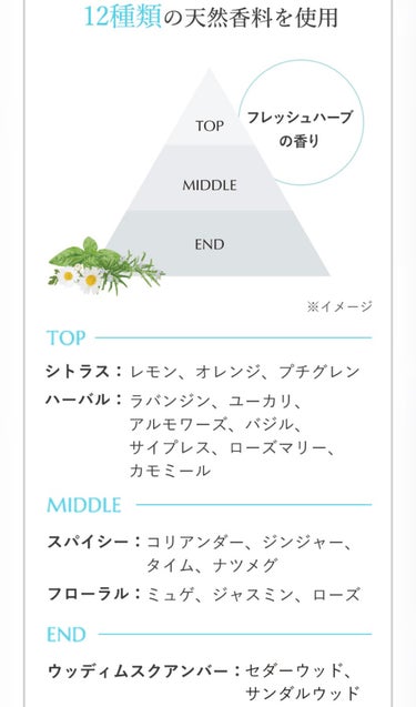 ソフティモ クリアプロ クレンジングバーム CICA ブラック/ソフティモ/クレンジングバームを使ったクチコミ（3枚目）