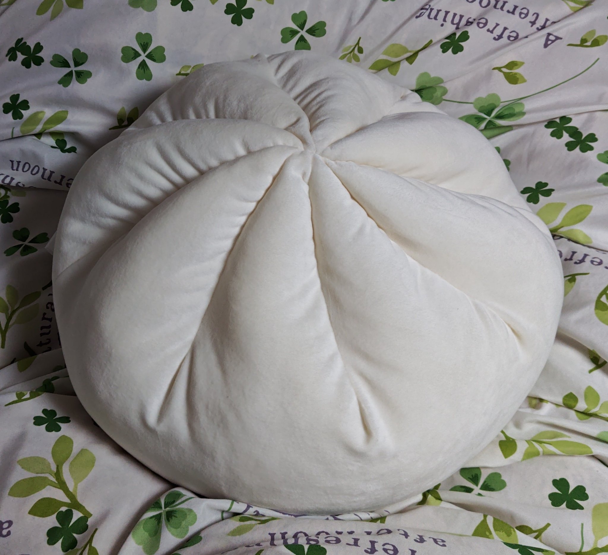 購入品/ニトリ/その他を使ったクチコミ（1枚目）