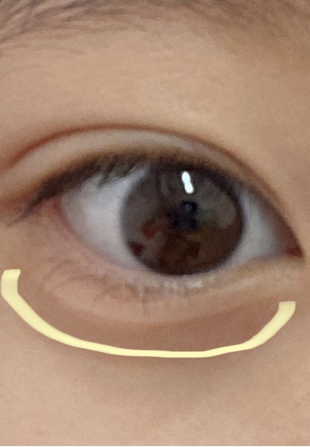 パーフェクトマルチアイズ/キャンメイク/アイシャドウパレットを使ったクチコミ（3枚目）