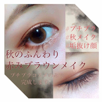 シングルカラーアイシャドウ/CEZANNE/単色アイシャドウを使ったクチコミ(1枚目)