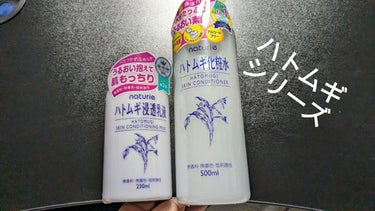 ハトムギ化粧水(ナチュリエ スキンコンディショナー R )/ナチュリエ/化粧水を使ったクチコミ（1枚目）