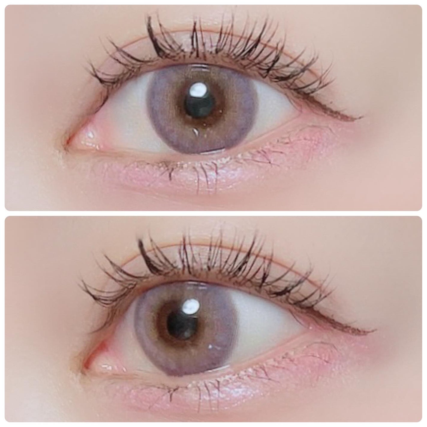 FrenchShine1day/OLENS/ワンデー(1DAY)カラコンを使ったクチコミ(2枚目)