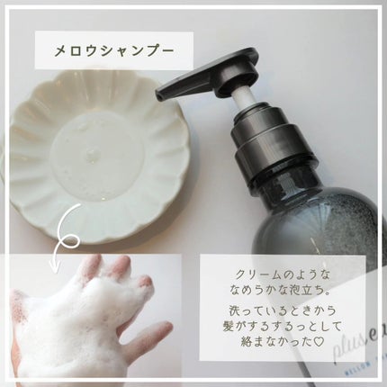 メロウシャンプー/メロウトリートメント/plus eau/市販シャンプーを使ったクチコミ(3枚目)