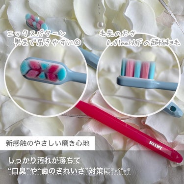 ルクス リエンコ ソフト歯ブラシ(ビューティー・コンパクト)/グローバル プロダクト プランニング/歯ブラシを使ったクチコミ（3枚目）