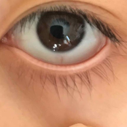 スカルプD ボーテ ピュアフリーアイラッシュセラム/アンファー(スカルプD)/まつげ美容液を使ったクチコミ(4枚目)