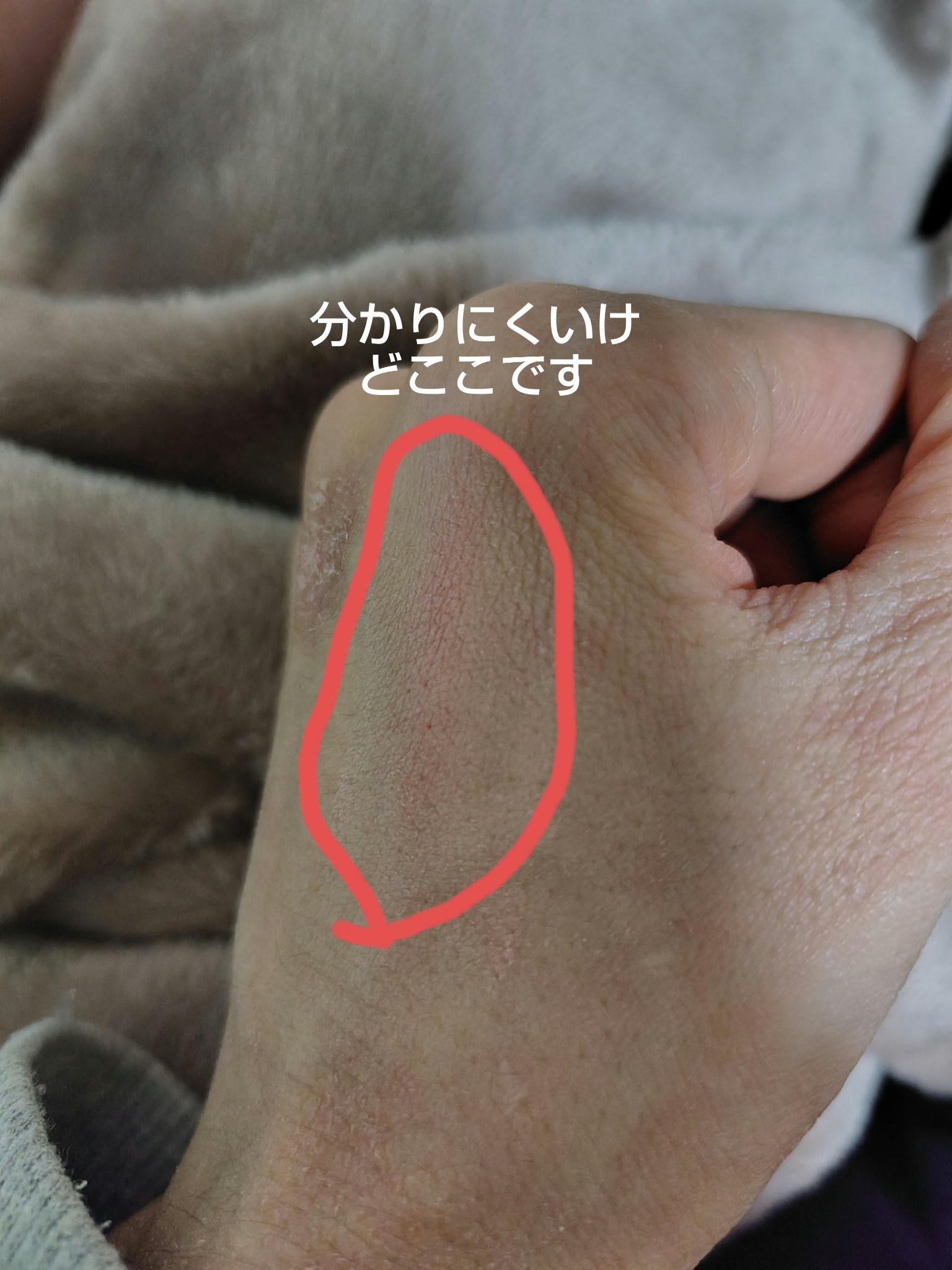 ミックスブラーリングボリュームブラッシャー/wakemake/パウダーチークを使ったクチコミ（3枚目）