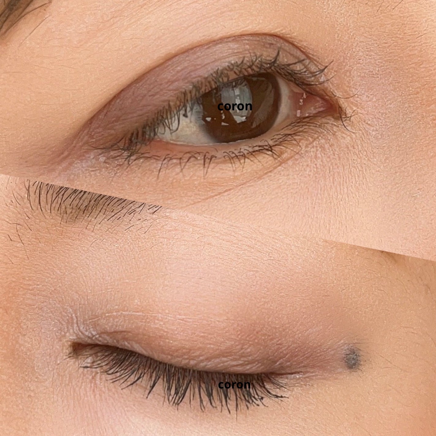 アイブロウ 三角芯D/DAISO/アイブロウペンシルを使ったクチコミ(2枚目)